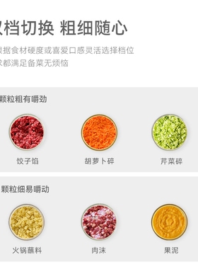 德国进口绞肉机家用电动小型多功