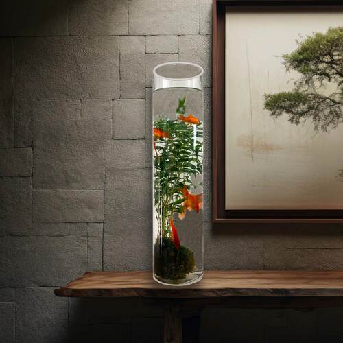 翡翠观音竹水培款苔藓球书房米竹绿植竹子室内立式鱼缸可养鱼 - 图3