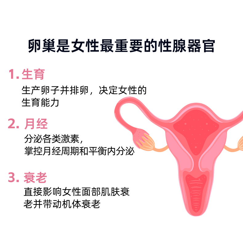 女性激素六项amh卵巢多囊指尖血检测月经早衰备孕雌激素医院同款