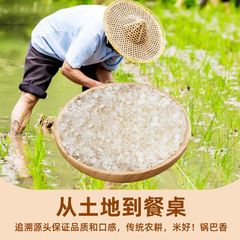 农家锅巴非油炸安徽特产原味小零食小吃手工大米柴火土灶老灶怀旧,淘宝优惠券,粉丝福利购,淘宝优惠卷