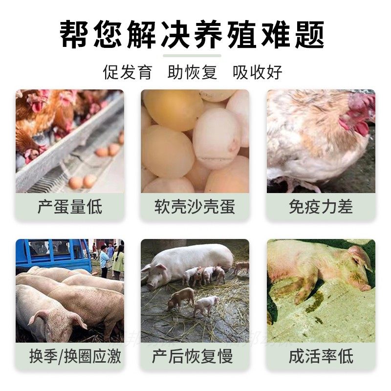 聚能复合多维兽用活力金维畜禽提高免疫鸡鸟禽猪牛羊电解多维生素,淘宝优惠券,粉丝福利购,淘宝优惠卷