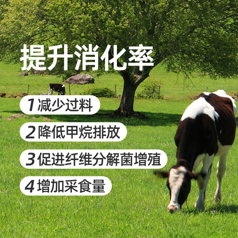 安琪福邦邦立胃 反刍动物专用酿酒酵母牛羊瘤胃消化每克200亿活菌,淘宝优惠券,粉丝福利购,淘宝优惠卷