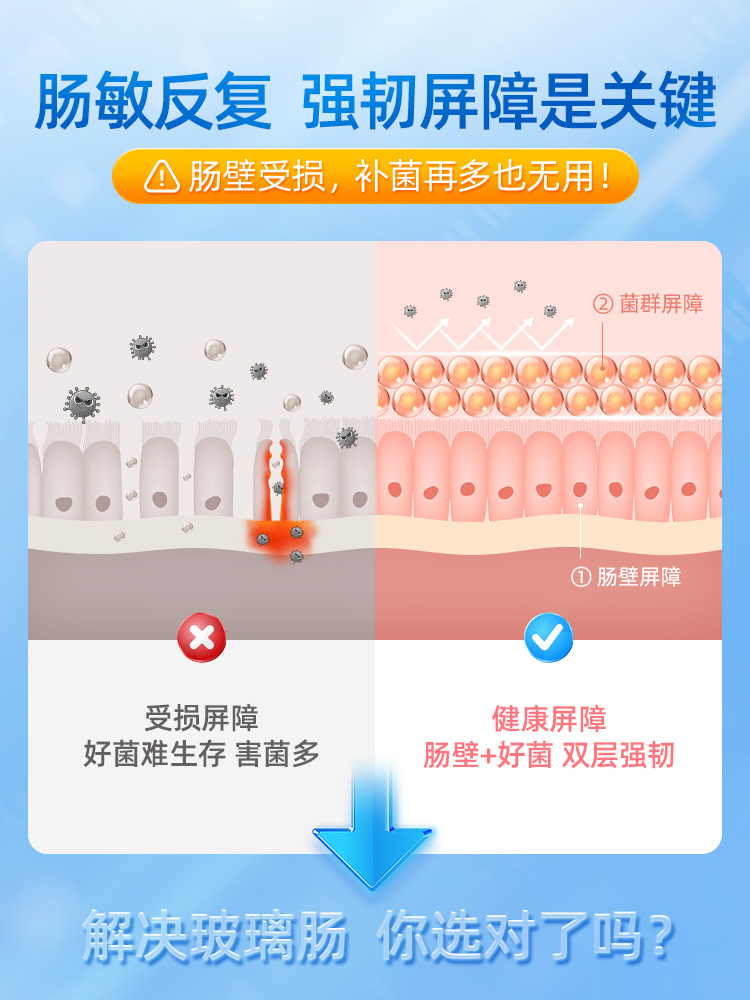 舒伯特肠博士氨基酸益生菌谷氨酰胺英国调理肠胃大人清清片粉剂粒-图0