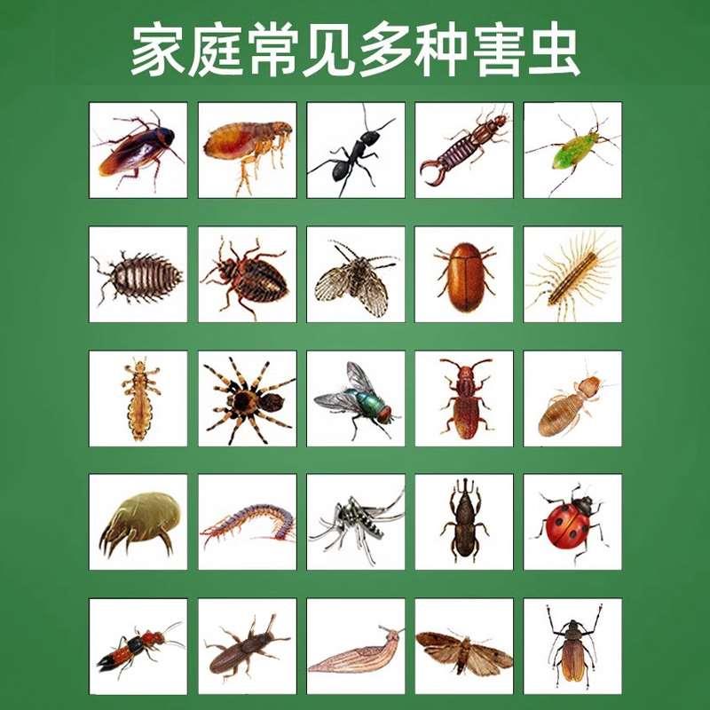 壁虎专用驱赶药杀虫剂家用驱虫驱避驱逐防治壁虎克星防爬虫杀虫剂 - 图3