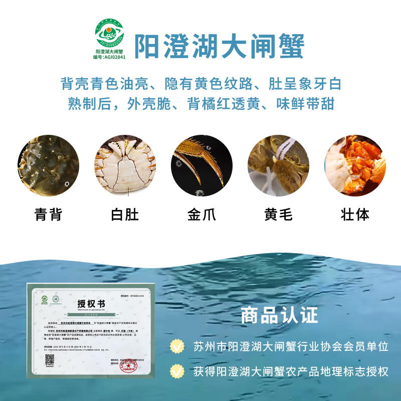 【礼券】中秋大闸蟹礼券蟹卡公3.5两母2.5两8只提货卡蟹券礼品卡