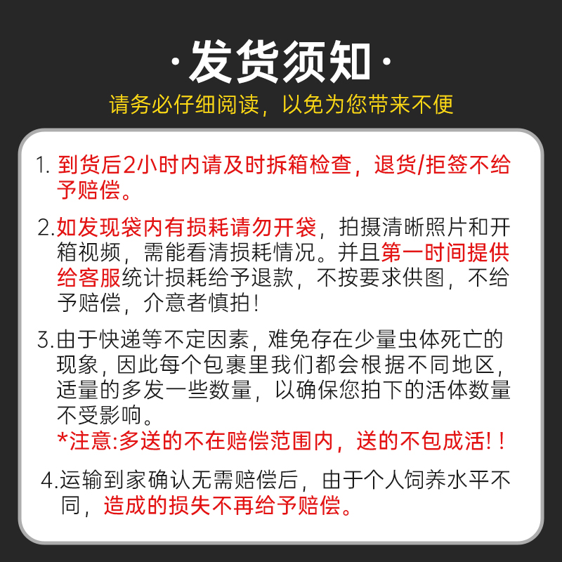 大麦虫活虫高蛋白饲料画眉鸟食蜜袋鼯守宫蜥蜴口粮活体虫子100条-图1