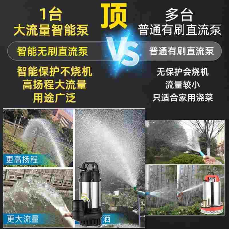 电动车通用潜水泵2寸3寸48V60V72不锈钢大流量浇菜无刷直流抽水机,淘宝优惠券,粉丝福利购,淘宝优惠卷