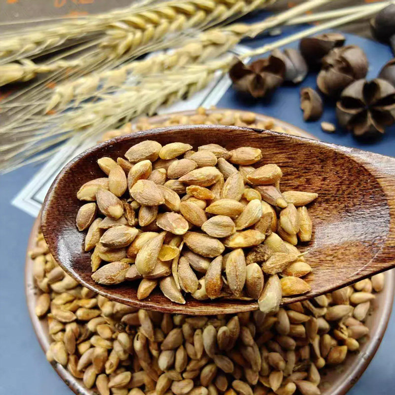 敖德 柏子仁中药饮片500g柏子仁带壳山东正品官方旗舰店药店发货,淘宝优惠券,粉丝福利购,淘宝优惠卷