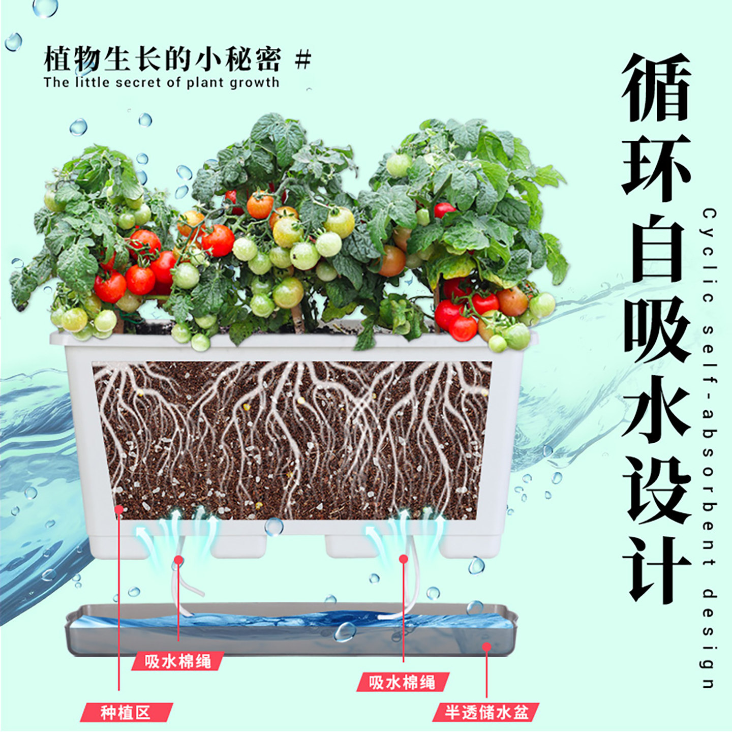 阳台种菜盆加深塑料长方形蔬菜种植自吸水专用箱神器草莓花盆大号,淘宝优惠券,粉丝福利购,淘宝优惠卷