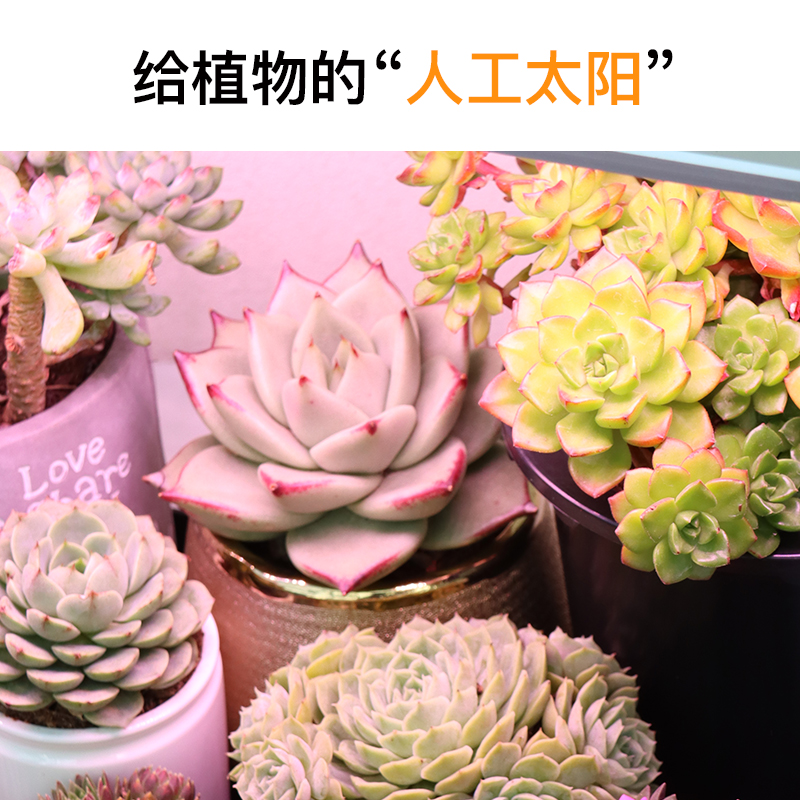 欧林泽多肉补光灯一体式定时全光谱花卉增色仿太阳育苗植物生长灯