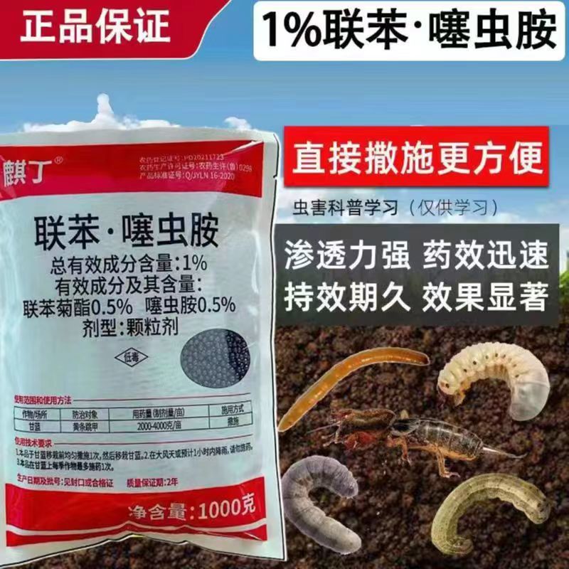 麒丁联苯噻虫胺颗粒地下害虫专用农药植物花卉土壤大豆蔬菜杀虫剂