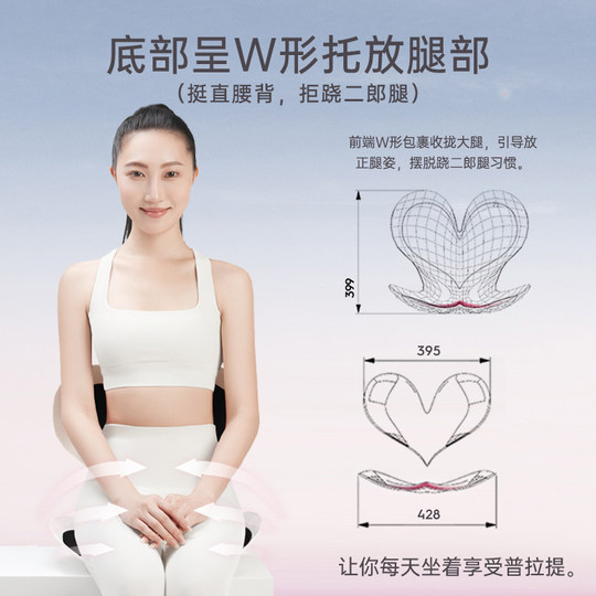 BKT Ergonomic Body Protective Waist Chair