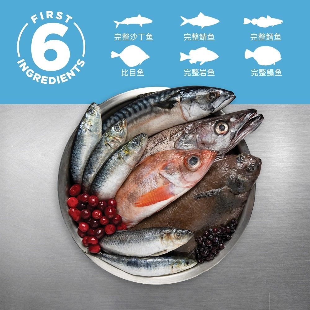 Orijen原始猎食渴望六种鱼狗粮成幼犬通用靓毛美肤犬粮2/6/11.4kg,淘宝优惠券,粉丝福利购,淘宝优惠卷