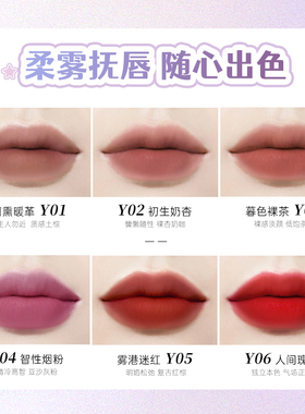 DO读色雾绒精华口红雾面哑光丝绒口红唇釉保湿显色新品