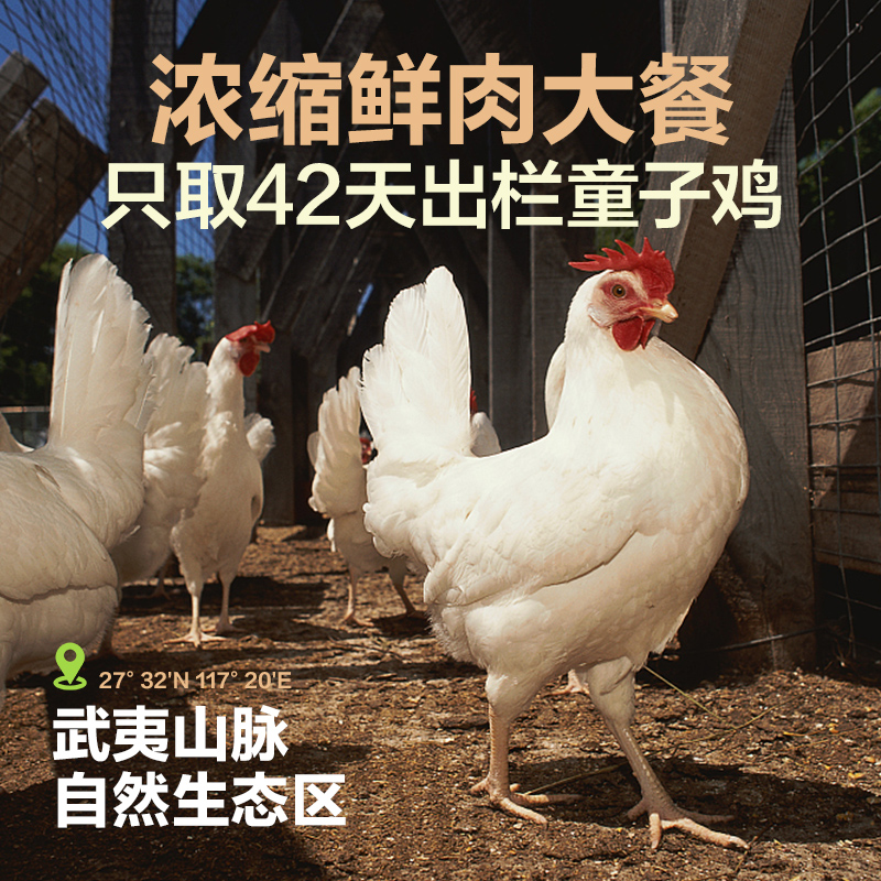 【囤货】网易天成冻干生骨肉猫粮全价冻干鲜肉成猫网易严选-图1