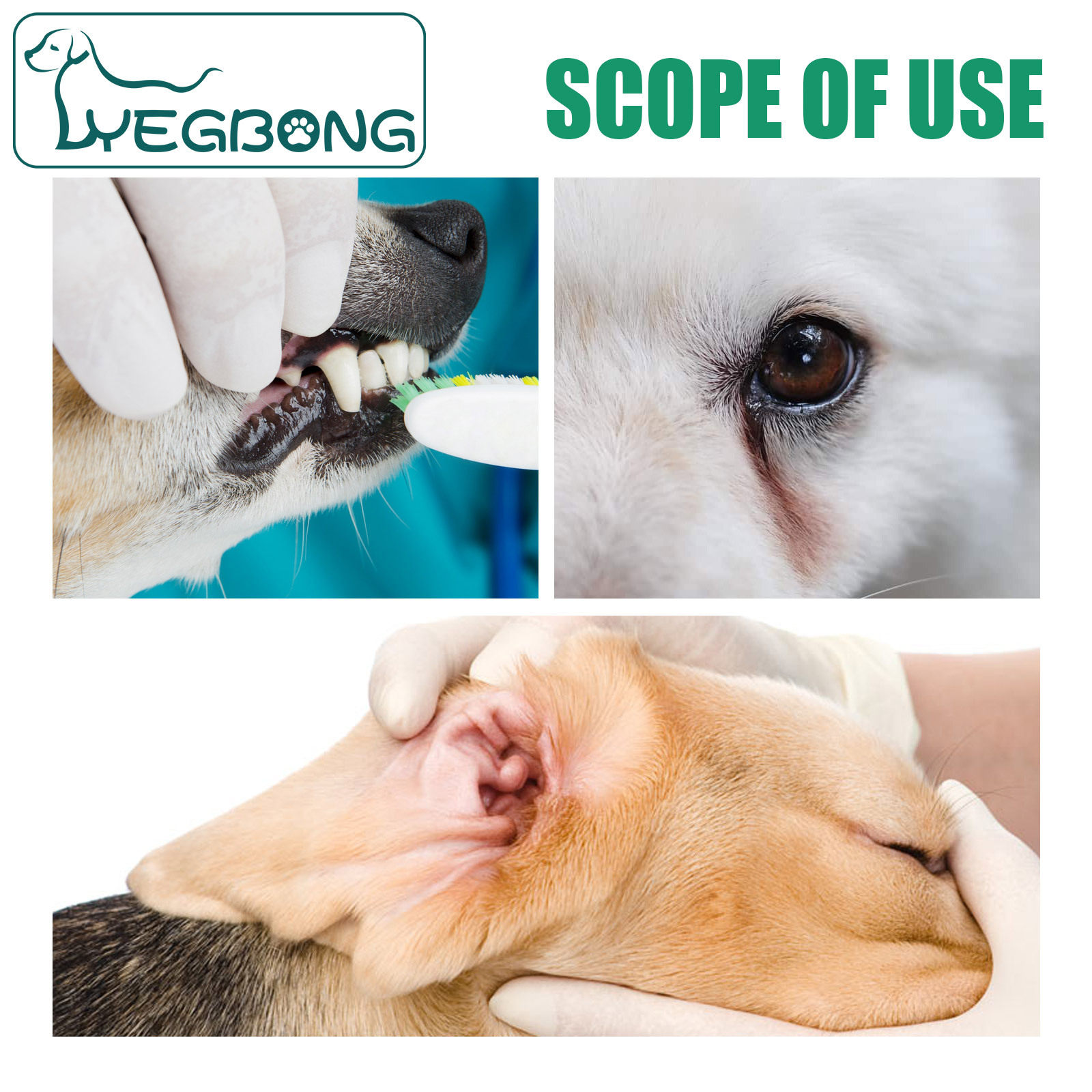 YEGBONG 宠物清洁牙齿指套 狗狗猫咪清洁牙垢结石口腔洁净护理,淘宝优惠券,粉丝福利购,淘宝优惠卷