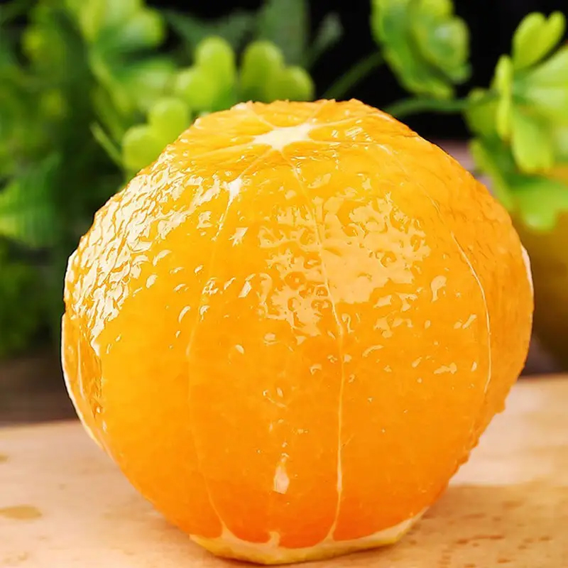 淘菜菜廣西紅江橙應季新鮮水果包郵現摘現發9特大果孕婦酸甜水果_時果薈旗艦店_水產肉類_新鮮蔬果_熟食