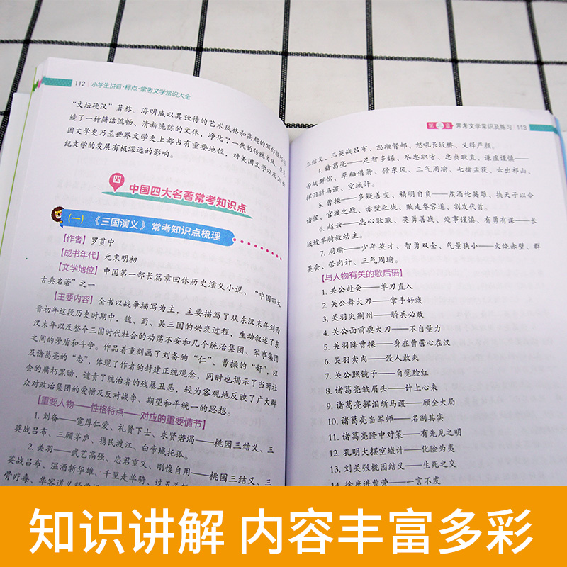 小学语文拼音标点常用文学常识大全 小学生标点符号用法解读年级语文辅导资料练习册上下册通用 小学标点符号用法的书籍专项训练