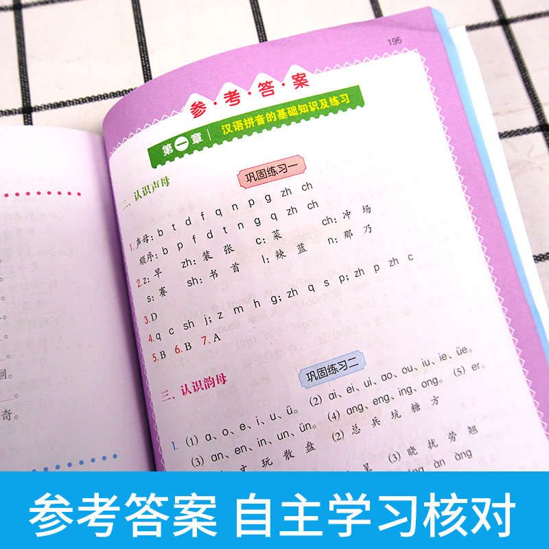 小学语文拼音标点常用文学常识大全 小学生标点符号用法解读年级语文辅导资料练习册上下册通用 小学标点符号用法的书籍专项训练