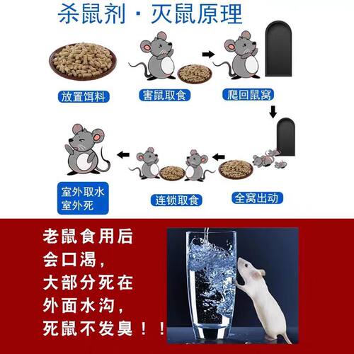 老鼠药家用药养殖场饭店农田室内灭老鼠特室外死特耗子药效杀鼠剂 - 图3