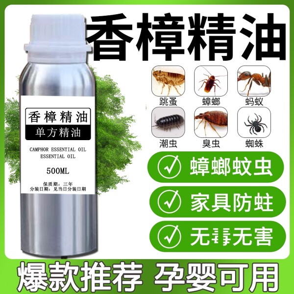 家里蟑螂多？这瓶樟木精油一喷，三天全消失！比杀虫剂安全100倍
