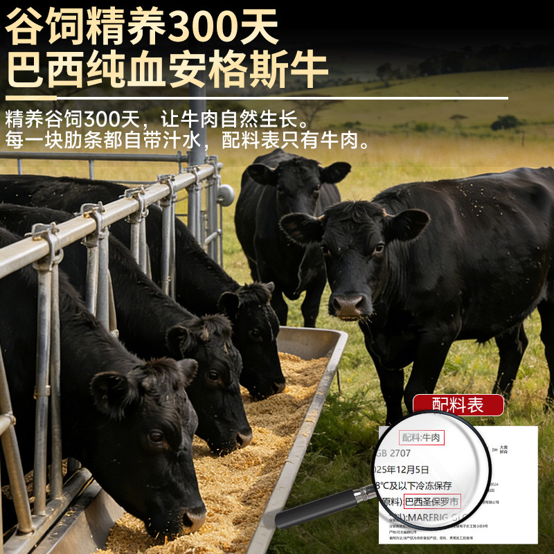 牛肋条巴西进口原切谷饲安格斯新鲜牛肉牛腩去骨烧烤烤肉食材商用