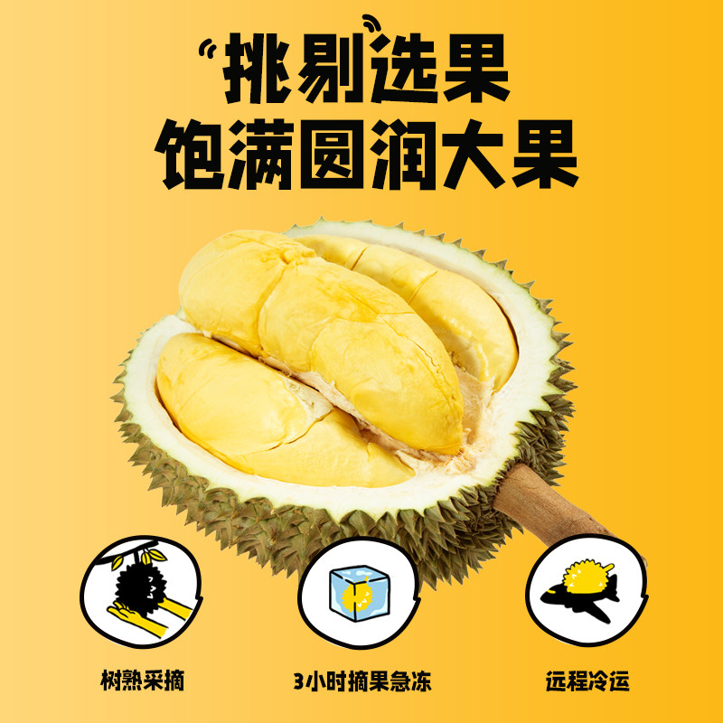 自然树熟泰国金枕头烤榴莲疯克大象 疯克大象榴莲