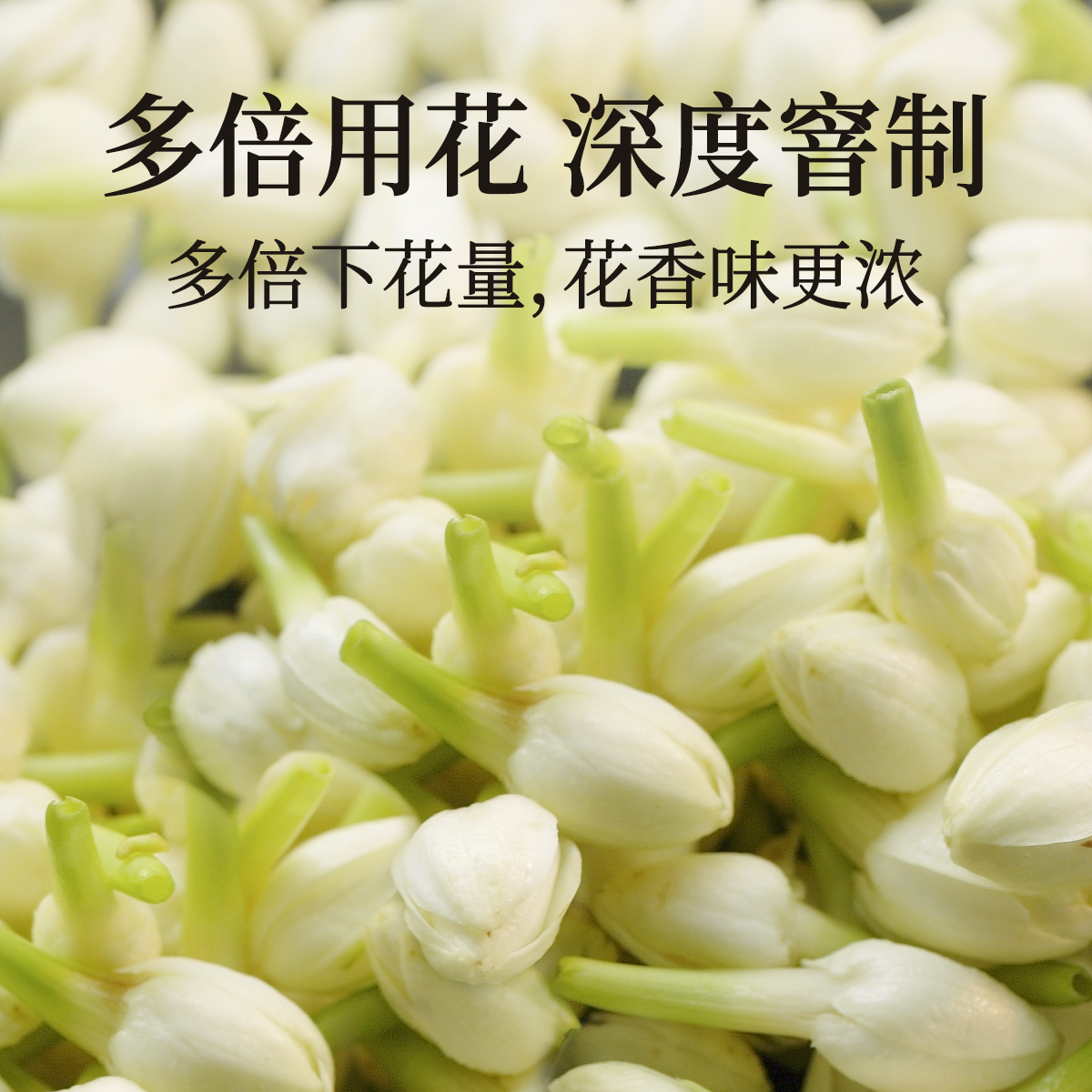 【热卖爆款】画花的茶茉莉小雪新茶春茶茉莉花茶茉莉绿茶茉莉飘雪 - 图0