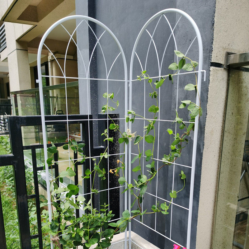 爬藤花架网格攀爬花藤架铁艺月季铁线莲植物固定支架阳台户外庭院