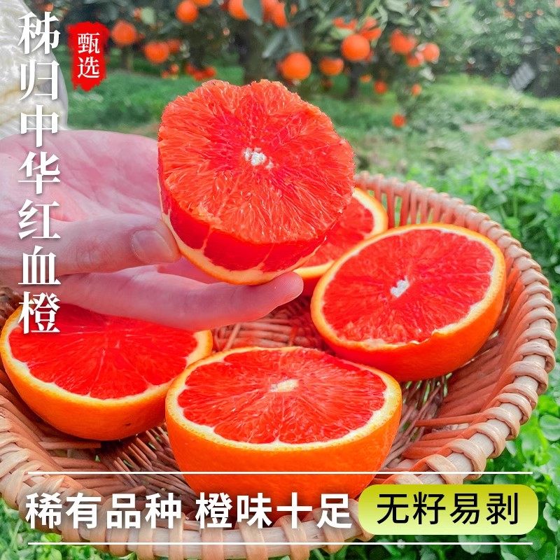 秭归血橙中华红橙新鲜橙子水果当季整箱红心甜橙冰糖果冻手剥9斤,淘宝优惠券,粉丝福利购,淘宝优惠卷