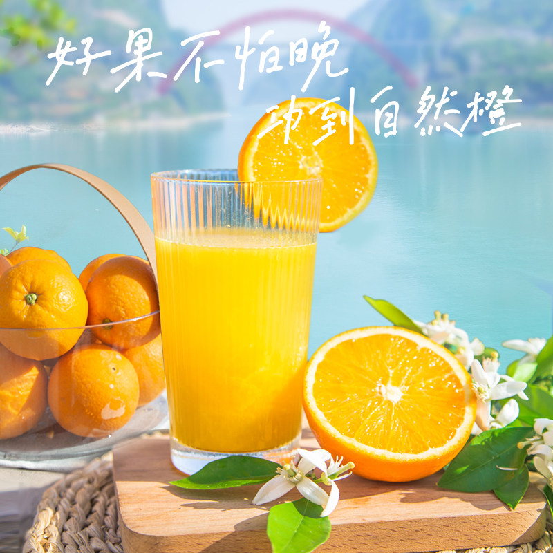 湖北秭归脐橙新鲜橙子10大果当季新鲜橙子榨汁专用甜橙官方旗舰店,淘宝优惠券,粉丝福利购,淘宝优惠卷