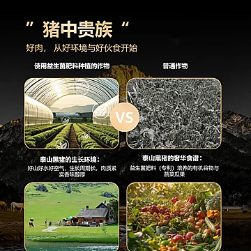 巴夫巴夫肉肠火山石烤肠纯肉爆汁脆皮肠2斤[10元优惠券]-寻折猪