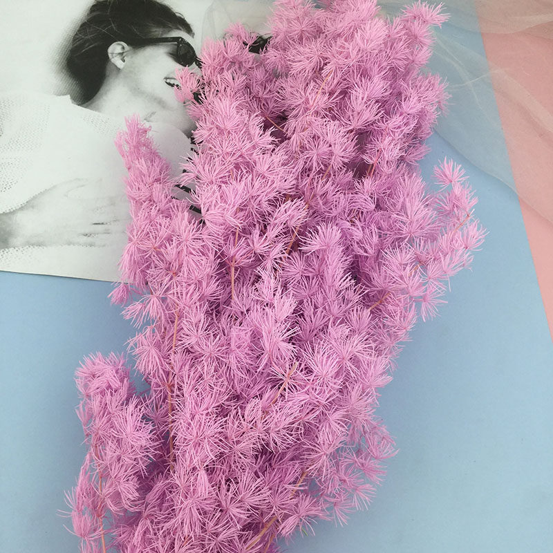 永生花蓬莱松干花DIY情人节礼盒玻璃材料手工制作车挂件花材配花