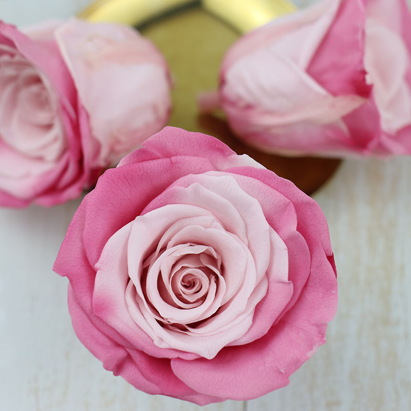 情人节永生花A级真玫瑰花4-5cm保鲜520DIY手工生日礼盒车挂材料