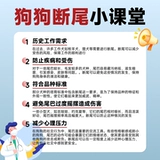 Артифакт-артефакт Dog Corgi Special Pet Special Rubber Band маленькая собачья щенка, разрушающая кожаная лента