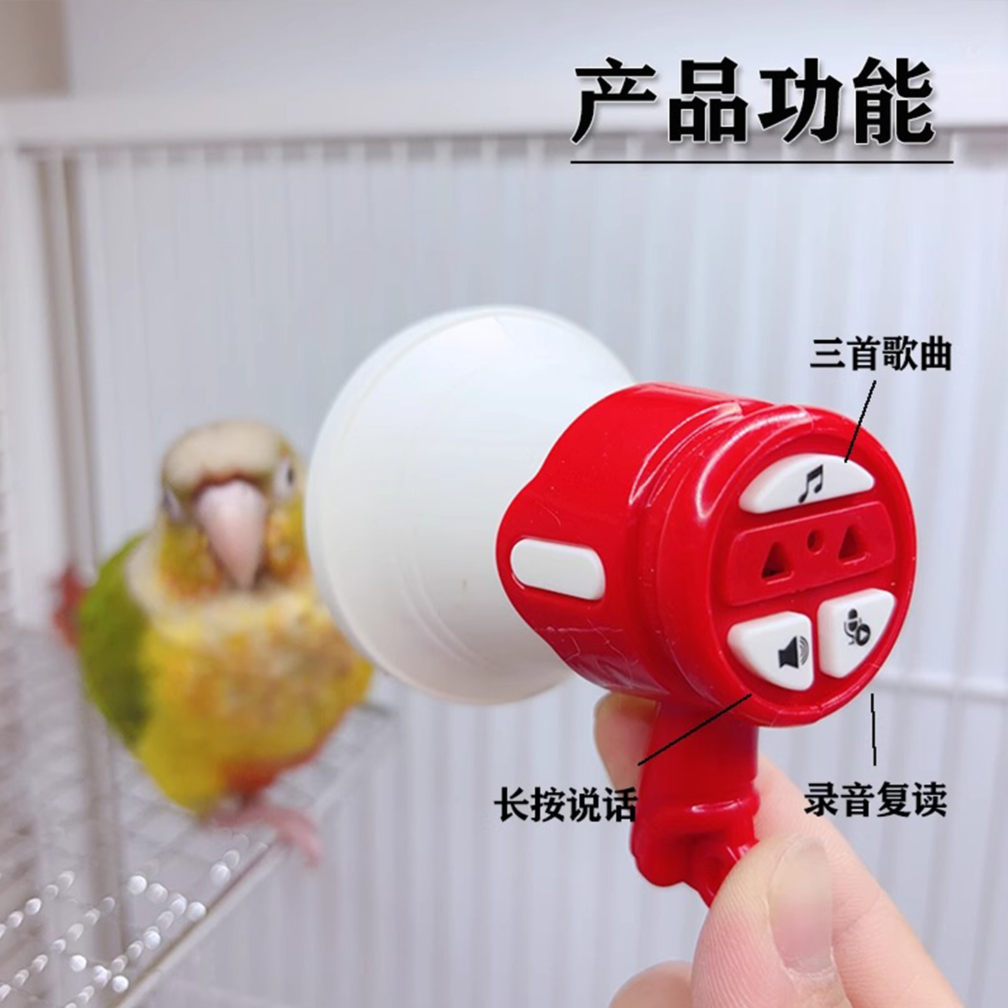 商品详情图片