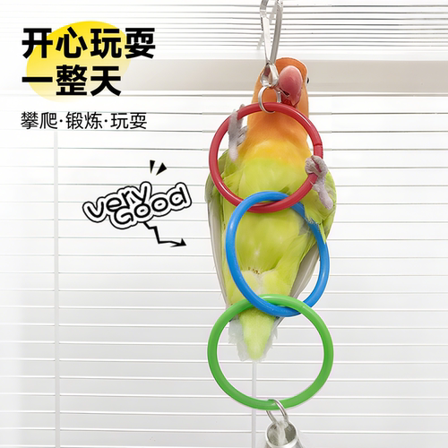 鹦鹉秋千吊环虎皮小太阳彩虹攀爬玩具小鸟玄凤专用小型鸟笼配件 - 图1