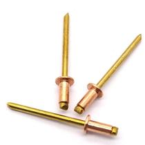 1g kestret b2618 national standard round head full copper pumping core riveting brass tight red copper pull rivet conductive with nail earth