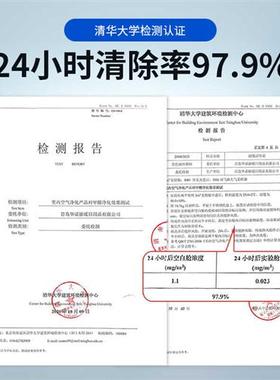 活性炭除甲醛新房家用装修吸甲醛钾醛去味竹炭包去味办公室内钾醛