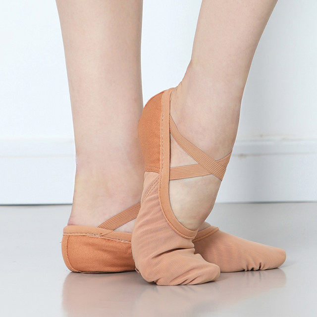 Sansha Soft Shoes Cat Claw Shoes Stretch Three-Piece Sole Mesh