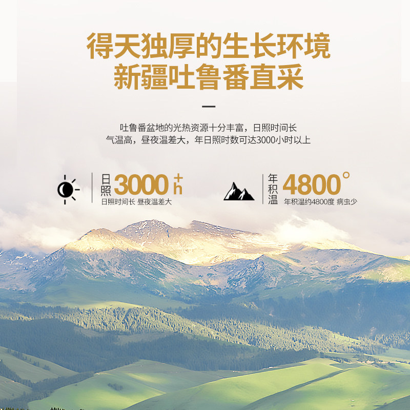 南疆巴朗一级多彩吐鲁番特产葡萄干 南疆巴朗葡萄干