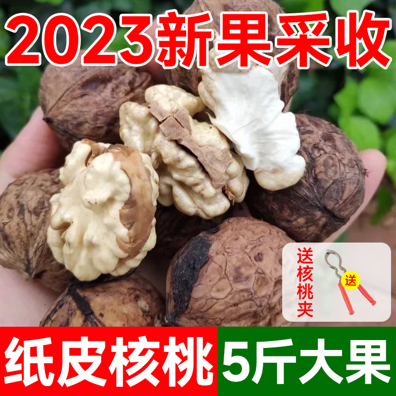 2023新货5斤装云南纸皮核桃孕妇可吃薄皮黑桃散装老树核桃非新疆-图0