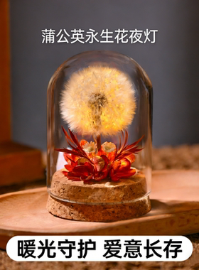 手工蒲公英干花夜灯婚房摆件