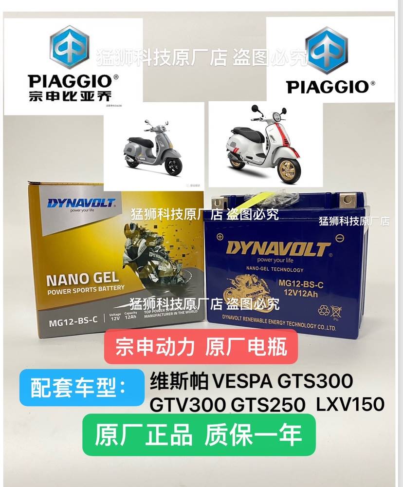 适用维斯帕VESPA GTS300 GTV300 GTS250 LXV150维斯帕150冲刺电瓶 - 图0