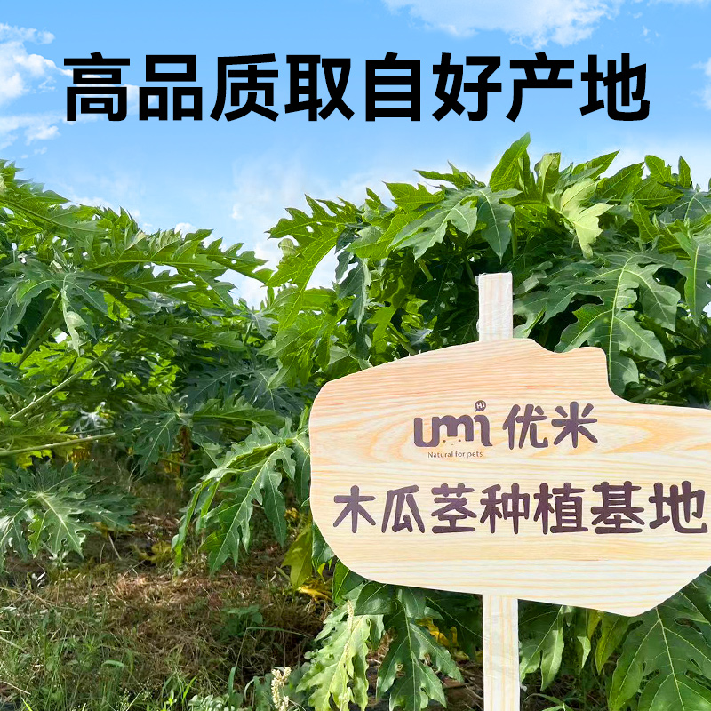 umi烘干木瓜茎兔兔磨牙零食木瓜丝组合系列龙猫豚鼠排毛化毛健康 - 图2