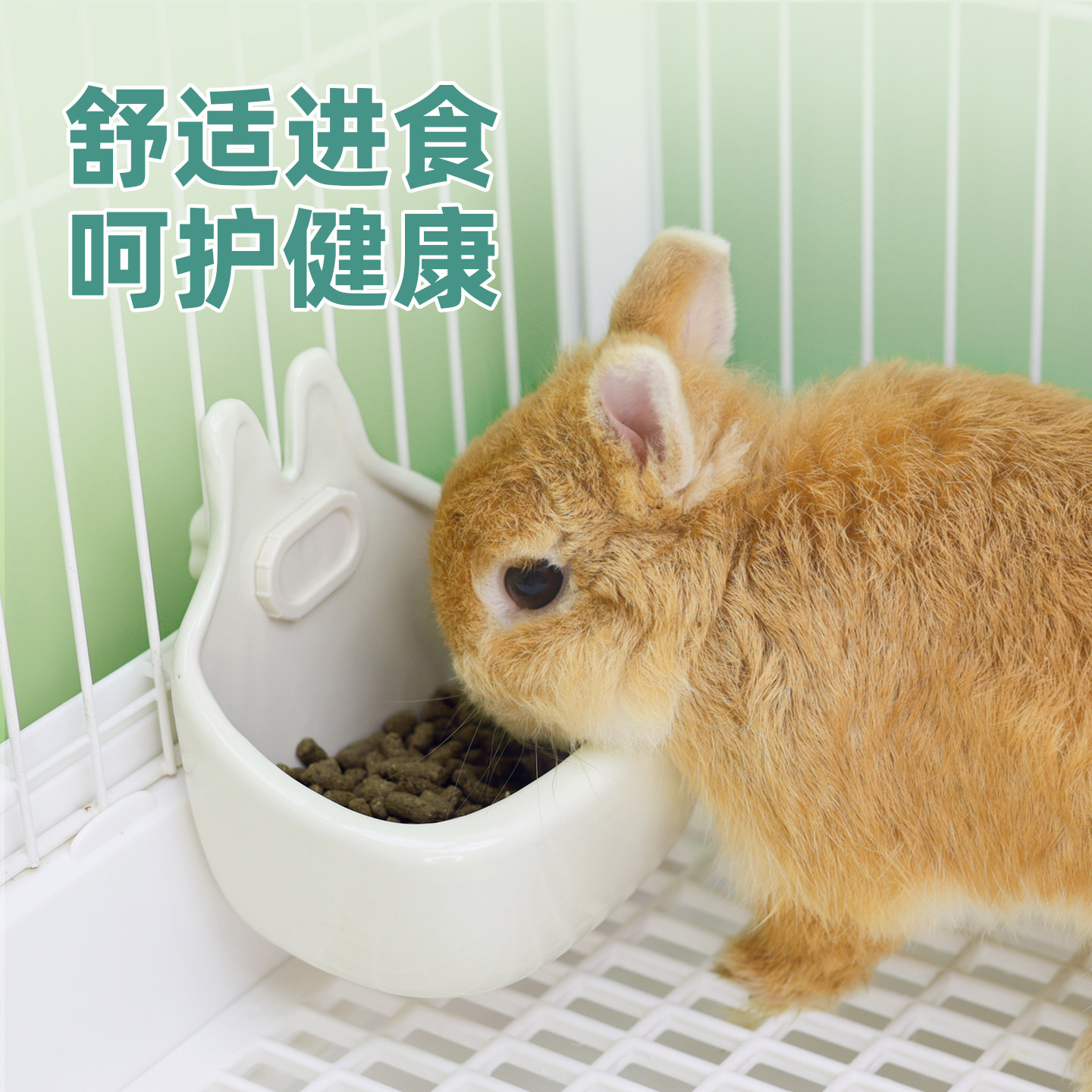 umi食盆宠物兔子陶瓷喂食器荷兰猪可挂式防扒防打翻兔兔饭碗用品,淘宝优惠券,粉丝福利购,淘宝优惠卷