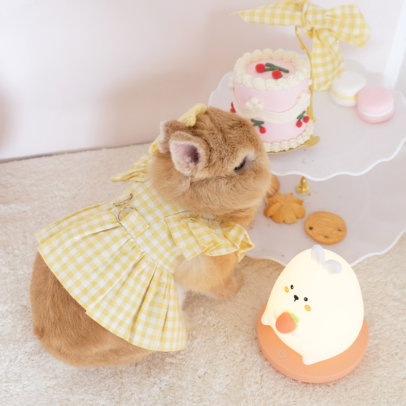 可爱波点兔子衣服外出装扮时尚格子裙保暖裙荷兰猪兔兔服饰牵引绳,淘宝优惠券,粉丝福利购,淘宝优惠卷