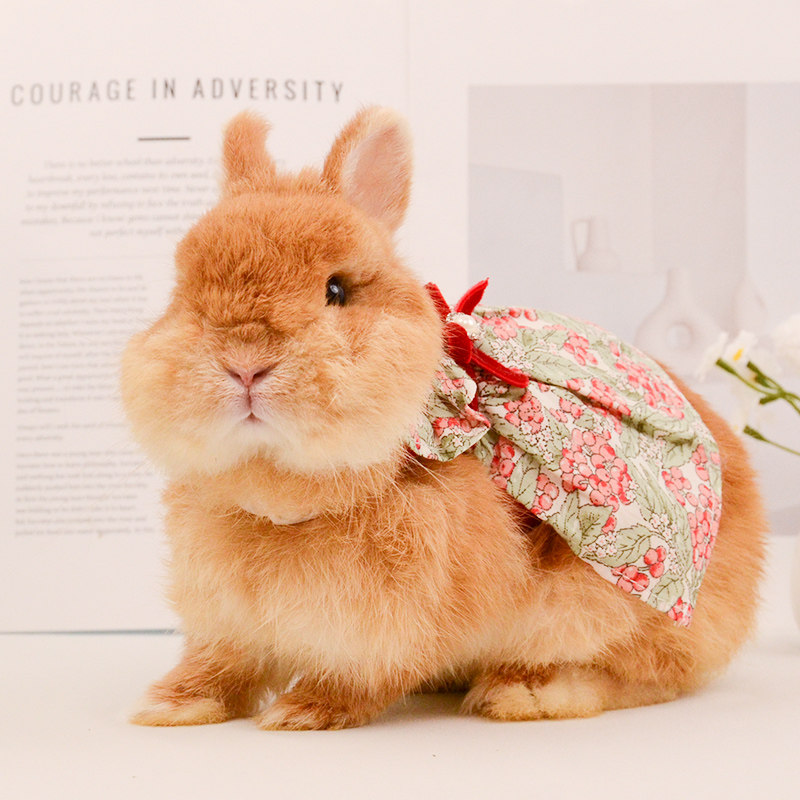 UMI碎花丝绒蝴蝶结裙马甲背心装扮外出穿着可爱俏皮兔兔服饰,淘宝优惠券,粉丝福利购,淘宝优惠卷