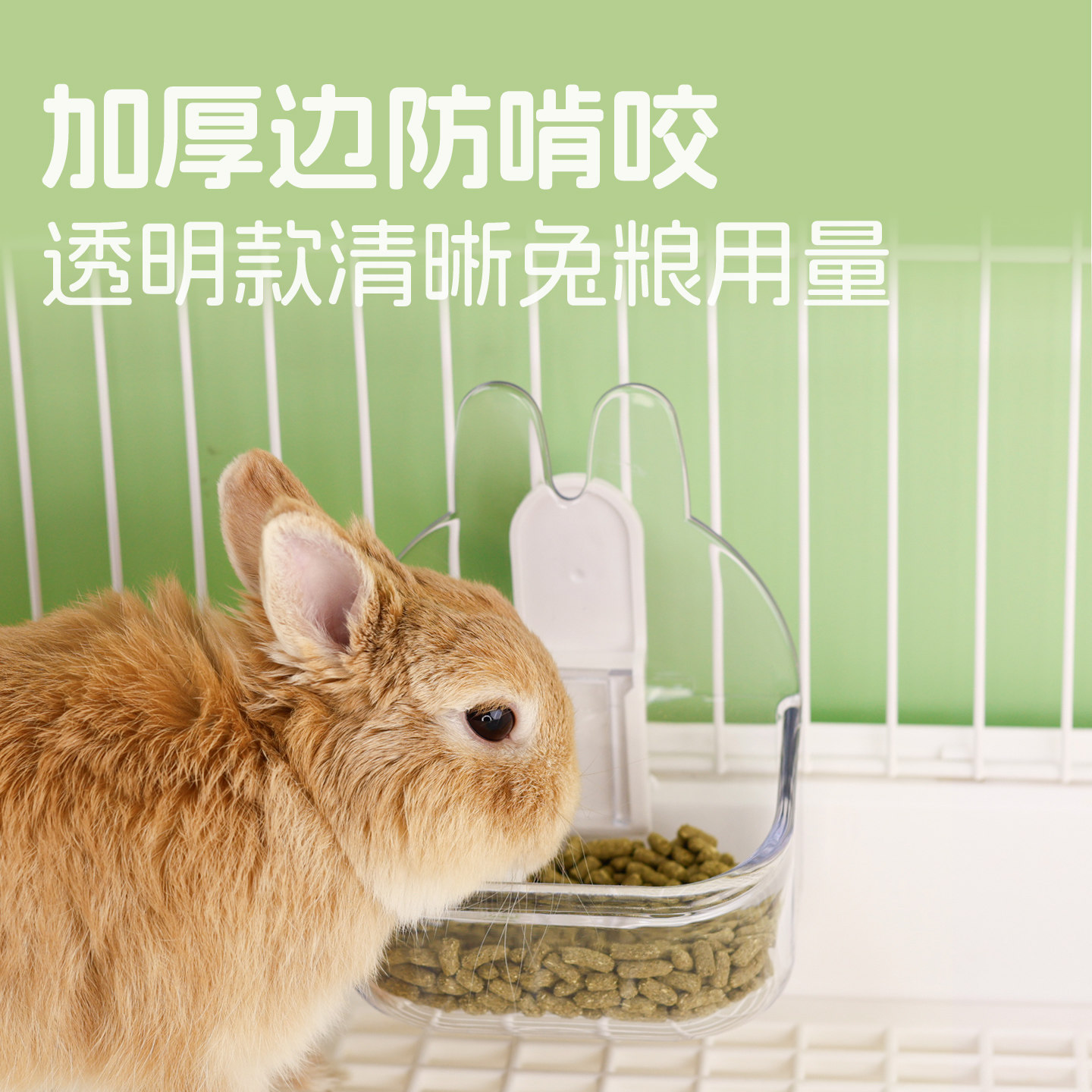 umi兔耳朵兔子食盆兔兔食盒粮食碗宠物兔饭碗饭盆加厚耐啃咬食碗,淘宝优惠券,粉丝福利购,淘宝优惠卷