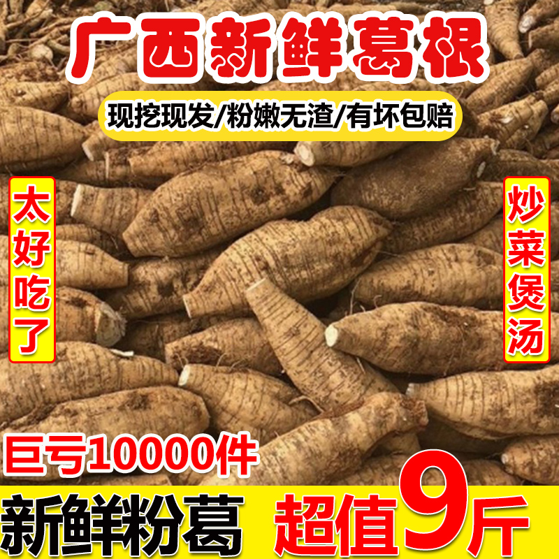 9斤包邮食用葛根新鲜广西粉葛无渣现挖大山野葛薯广东煲汤粉葛根